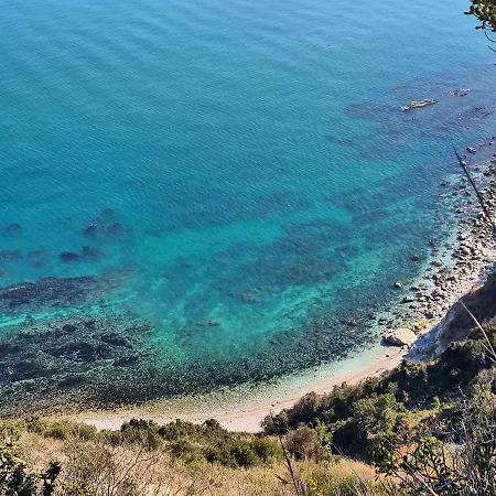 Il Nichessino